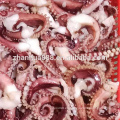 Calamar Pulpo De Pata Larga Hervido Congelado Tentqacle